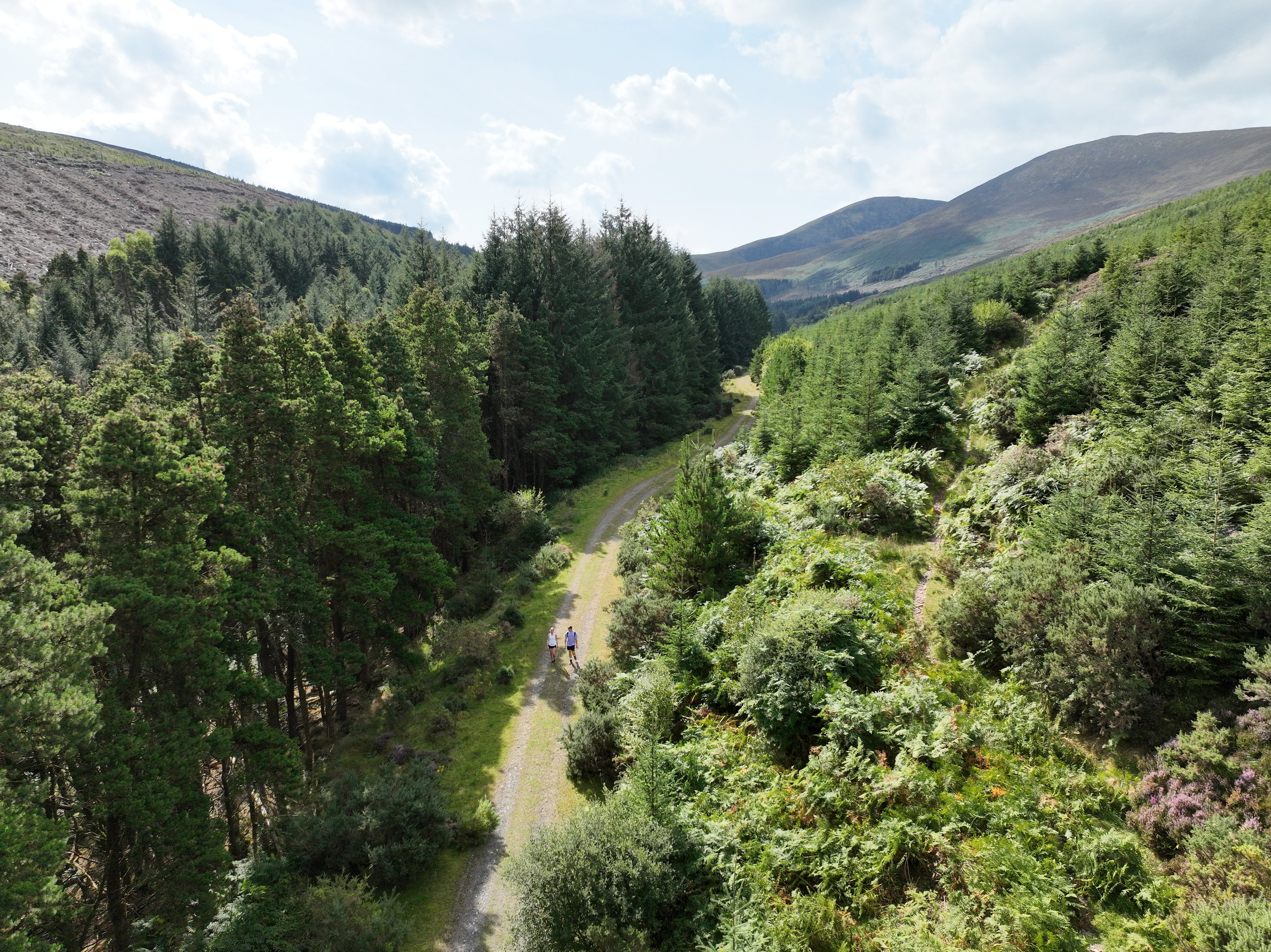 Knockmealdown Lakes Loop Image