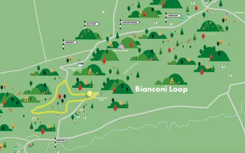 Bianconi Loop Image
