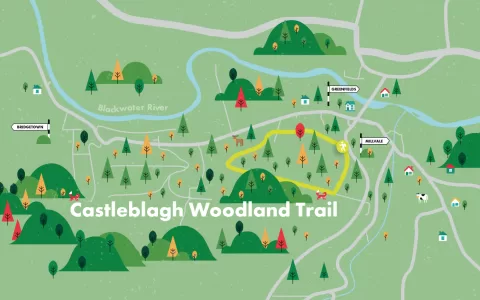 Castleblagh Woodland Trail Image