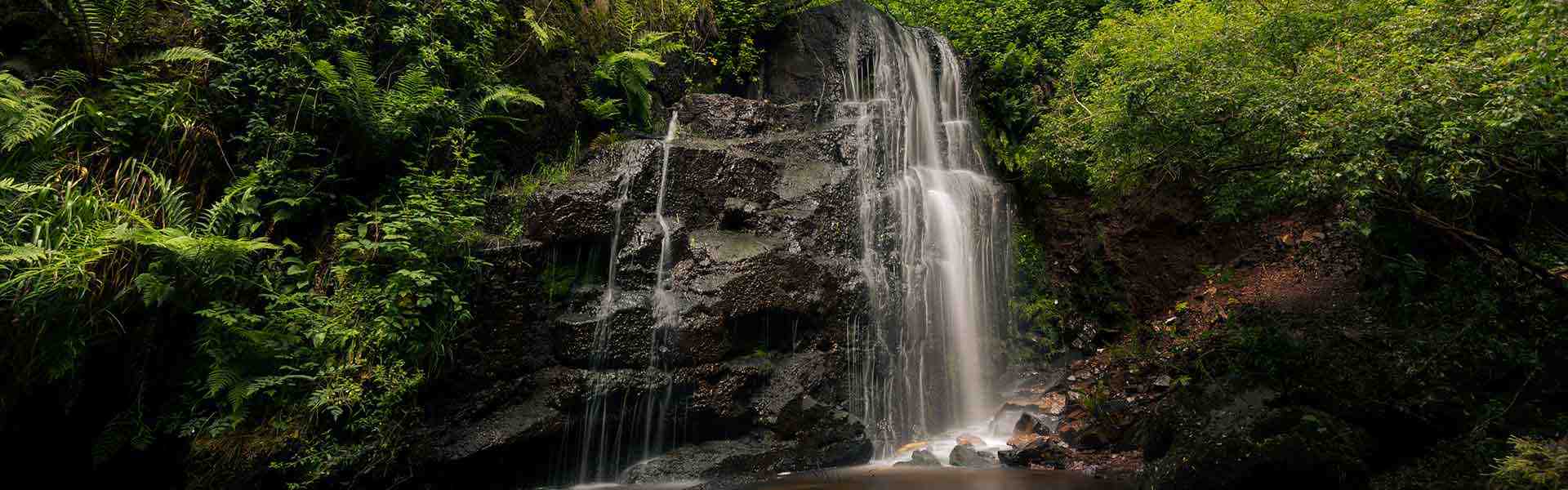 Ballard Waterfall Trail Image