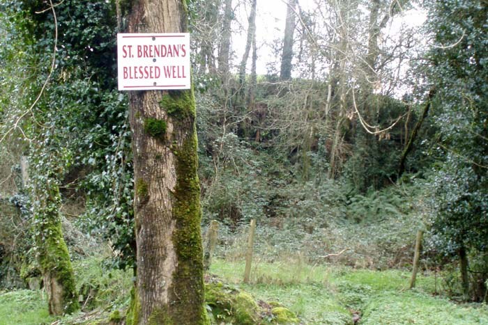 Ballyhooley St Brendans Holy Well Loop Image