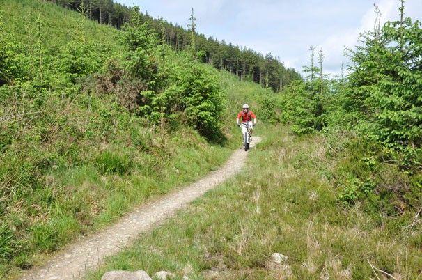 Castlepook Loop Image