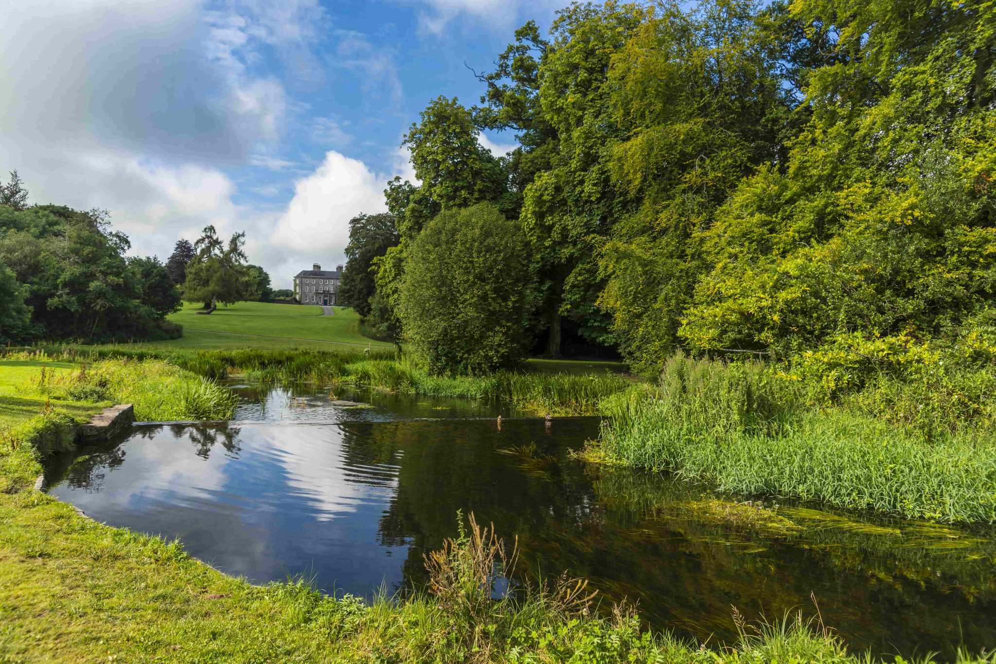 Doneraile Wildlife Park Long Loop Image