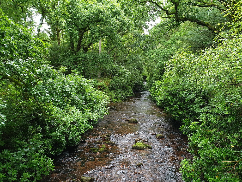 Glengarra Loop Image