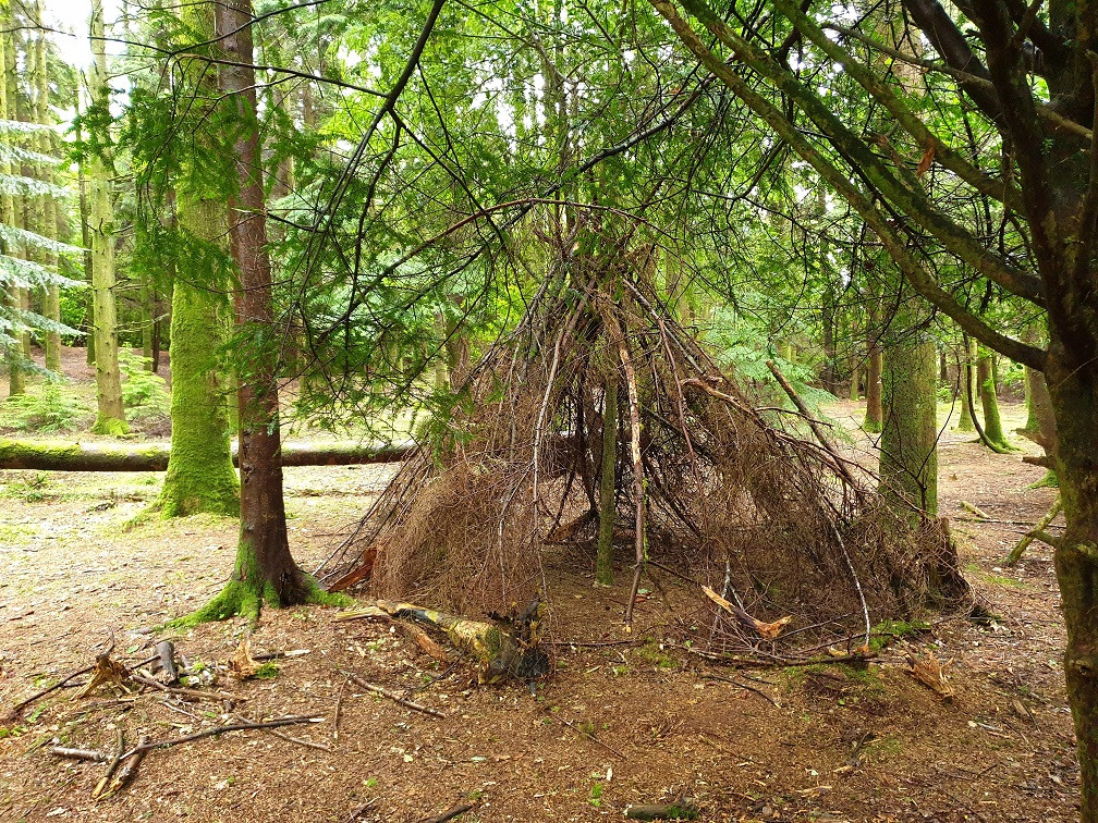 Glengarra Millenium Trail Image