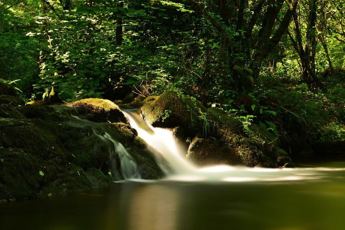 Keale River Walk Image