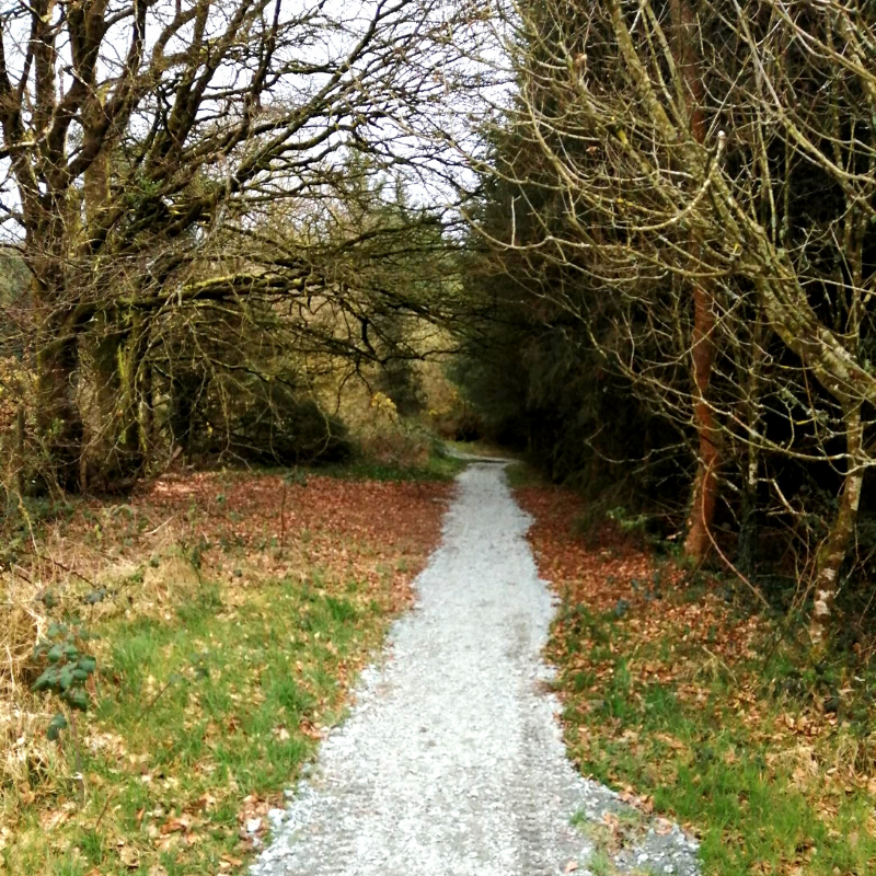 Slievereagh Loop Image