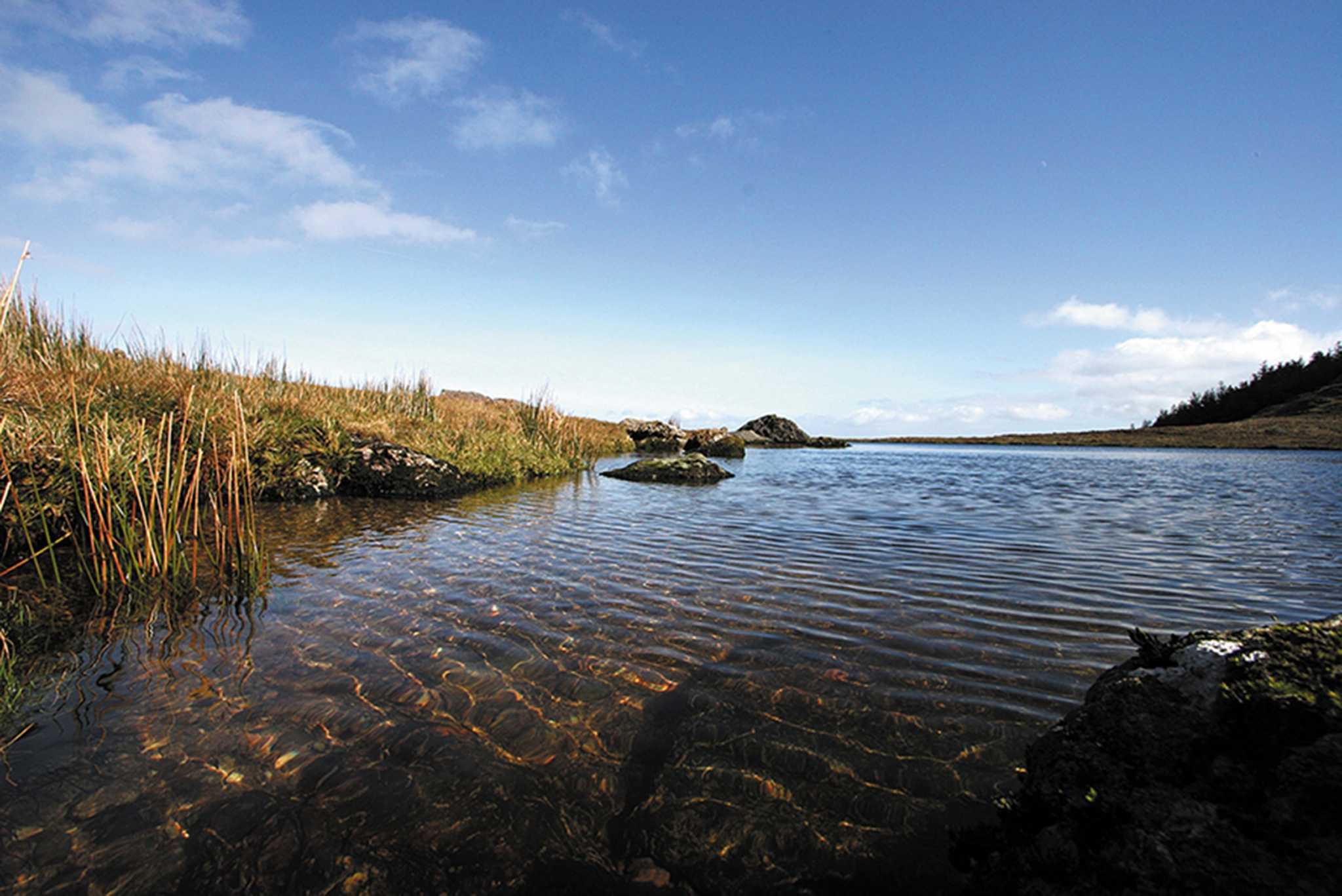 Lough Mohra Loop Walk Image